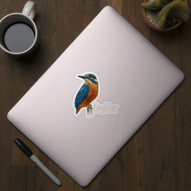 Kingfisher bird - Wildlife observation - birs illustration by OutfittersAve